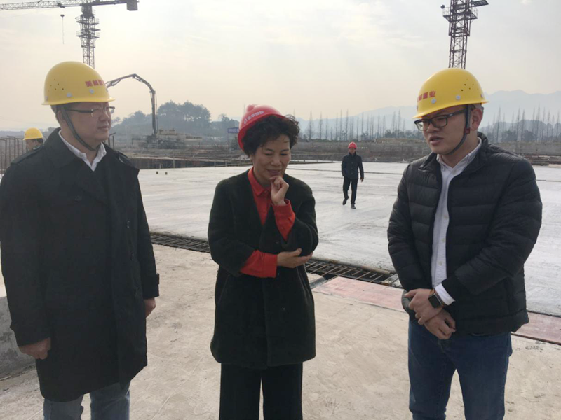 麗水市委常委、宣傳部長任淑女調(diào)研松陽美林·南城壹號(hào)項(xiàng)目