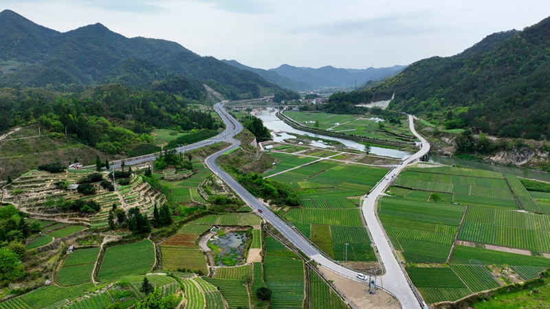浙農(nóng)浙貝母、杭白菊基地通過中藥材GAP延伸檢查
